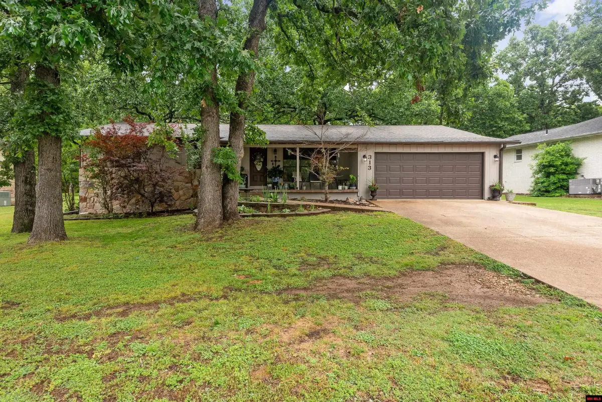 313 KINGSWOOD DRIVE, Mountain Home, AR 72653 - #1