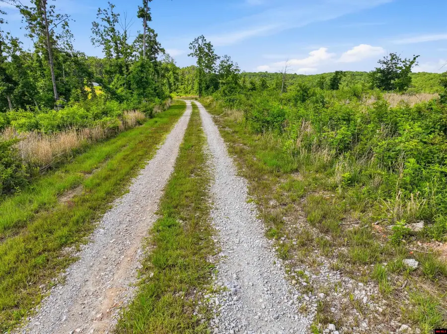 66 PRIVATE ROAD 5094, Mountain View, MO 65548 - #2
