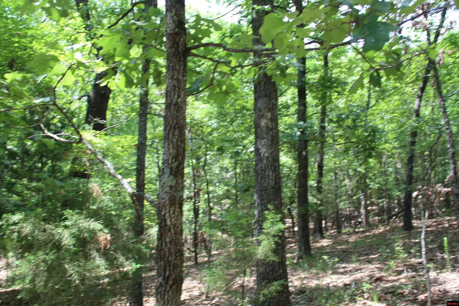 Lot 51 OAK RIDGE DRIVE, Theodosia, MO 65761 - #2