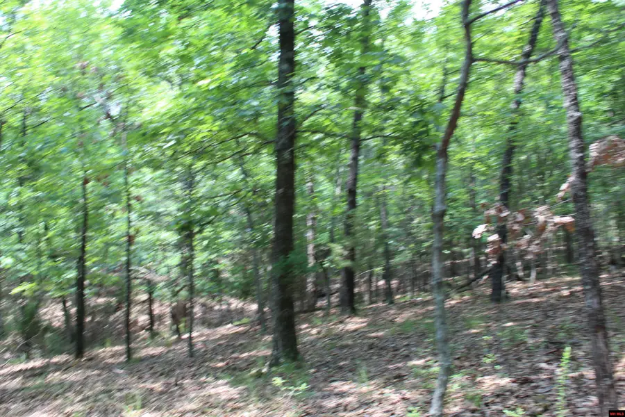Lot 5A COUNTRY CLUB DRIVE, Theodosia, MO 65761 - #2
