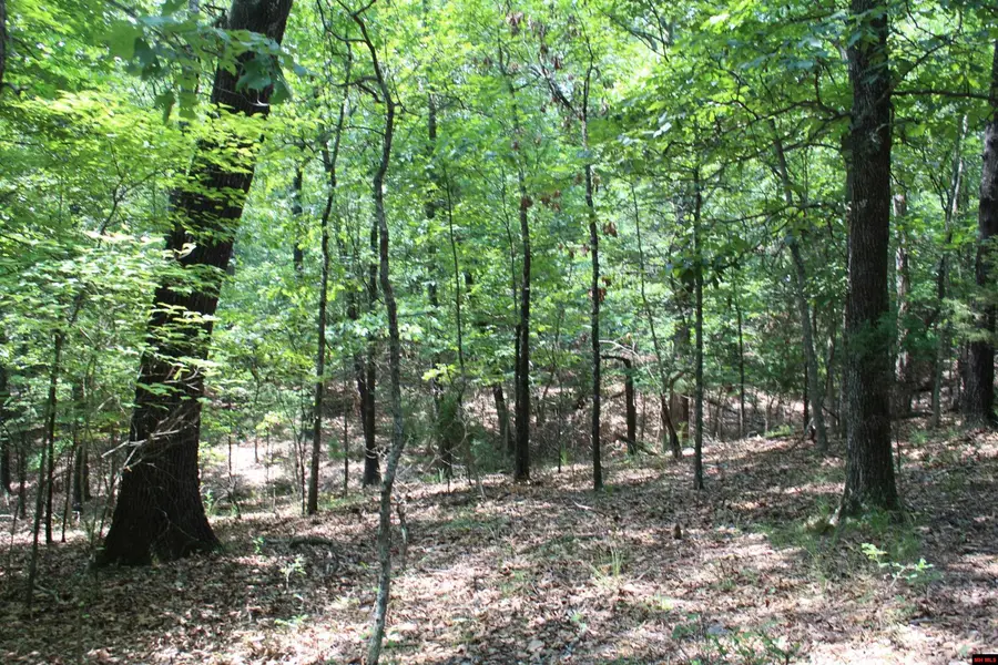Lot 5A COUNTRY CLUB DRIVE, Theodosia, MO 65761 - #3