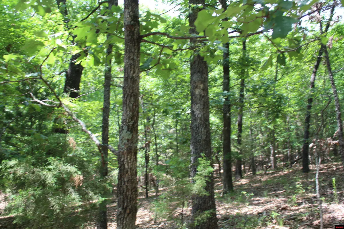 Lot 9B COUNTRY CLUB DRIVE, Theodosia, MO 65761 - #1