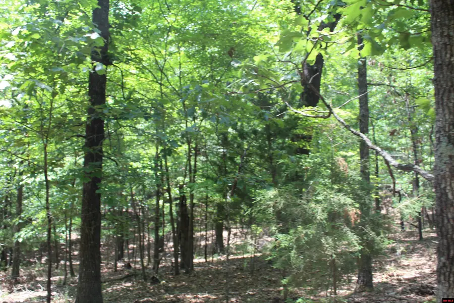 Lot 9B COUNTRY CLUB DRIVE, Theodosia, MO 65761 - #2