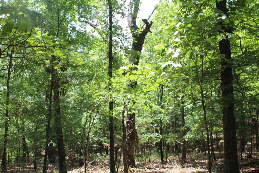 Lot 9B COUNTRY CLUB DRIVE, Theodosia, MO 65761 - #3