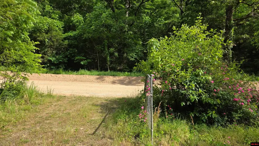 547 MC 3002, Yellville, AR 72687 - #3