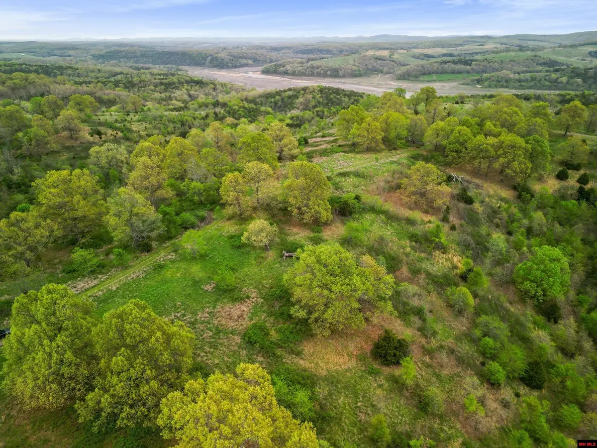 Lot 1,3,4-21 STATE HWY D, Thornfield, MO 65762 - #1