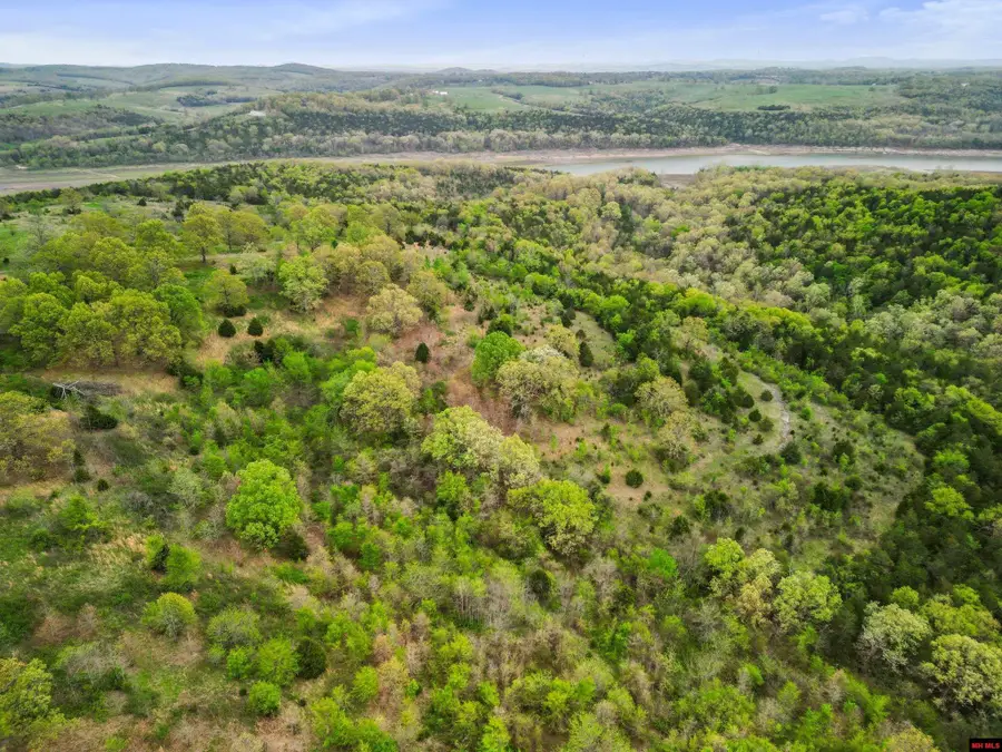 Lot 1,3,4-21 STATE HWY D, Thornfield, MO 65762 - #2
