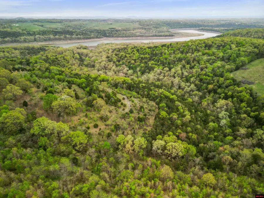 Lot 1,3,4-21 STATE HWY D, Thornfield, MO 65762 - #3