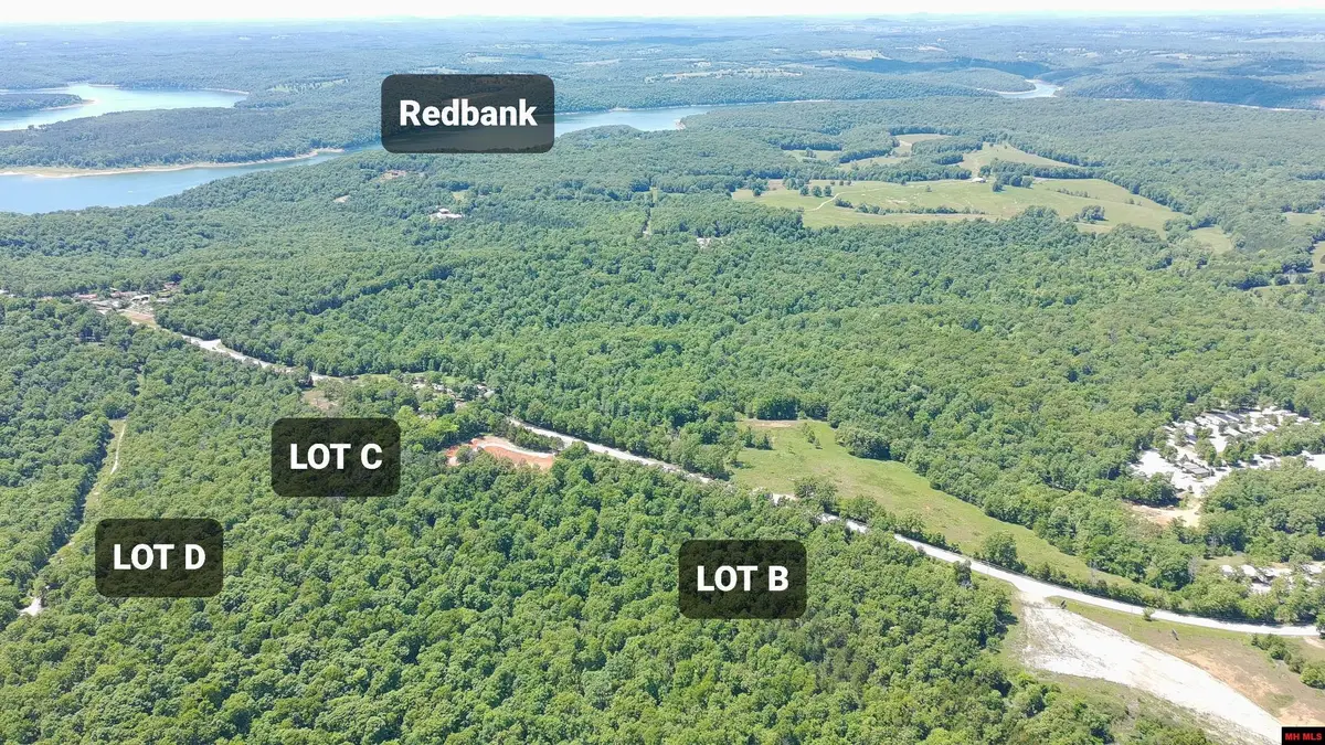 Tract B HWY 101, Gamaliel, AR 72537 - #1