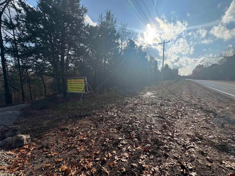 Tract B HWY 101, Gamaliel, AR 72537 - #2