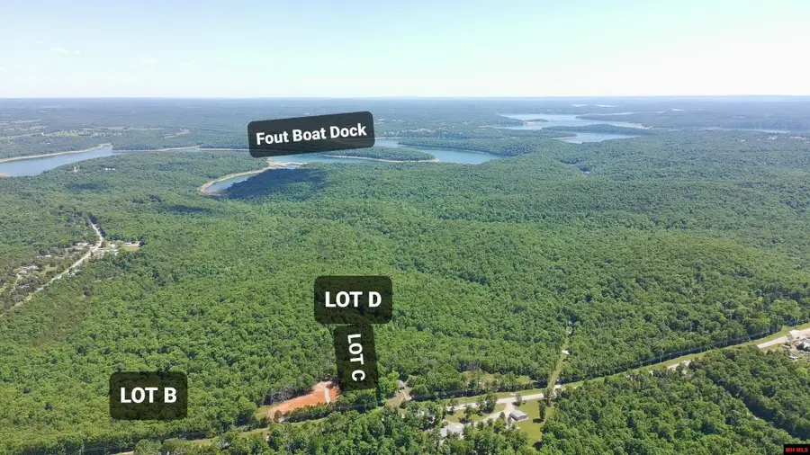 Tract C & D HWY 101, Gamaliel, AR 72537 - #2
