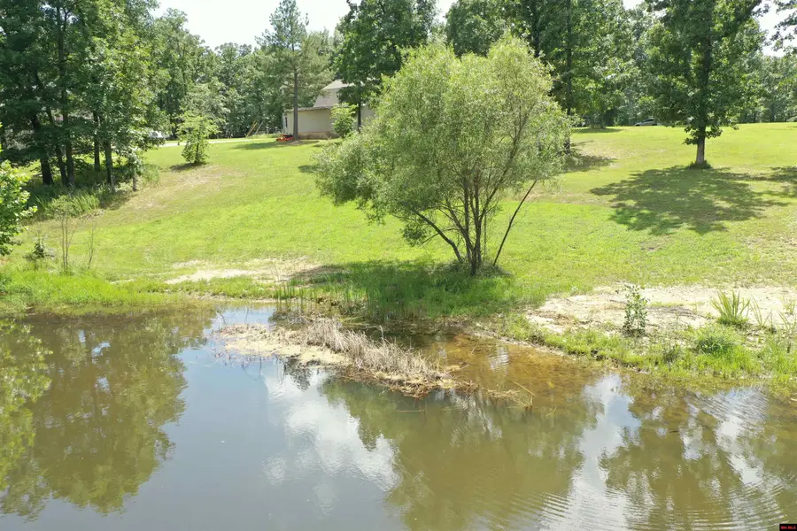 4393 CR 46, Henderson, AR 72544 - #3