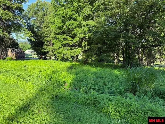 4019 SAVANNAH DRIVE, Harrison, AR 72601 - #3
