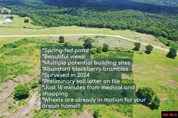 Tract 2 HWY 201 NORTH, Clarkridge, AR 72623
