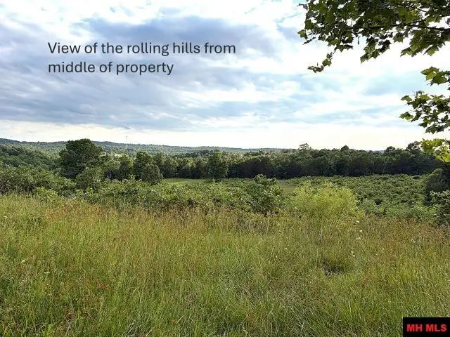 Tract 2 HWY 201 NORTH, Clarkridge, AR 72623 - #2