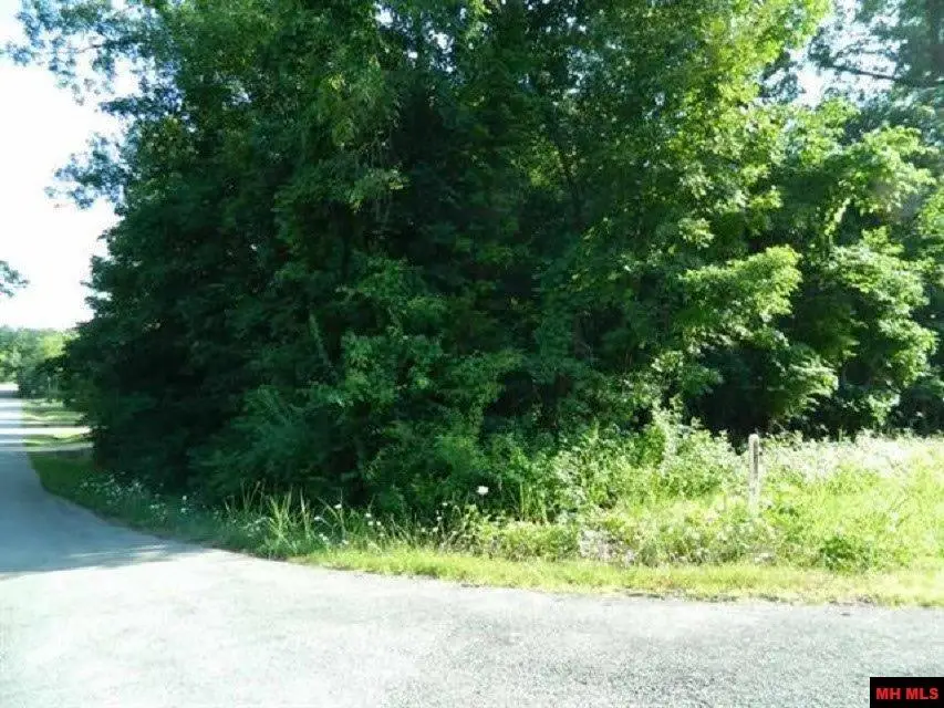 LOTS 1-4 WALNUT AVENUE, Bull Shoals, AR 72619 - #2