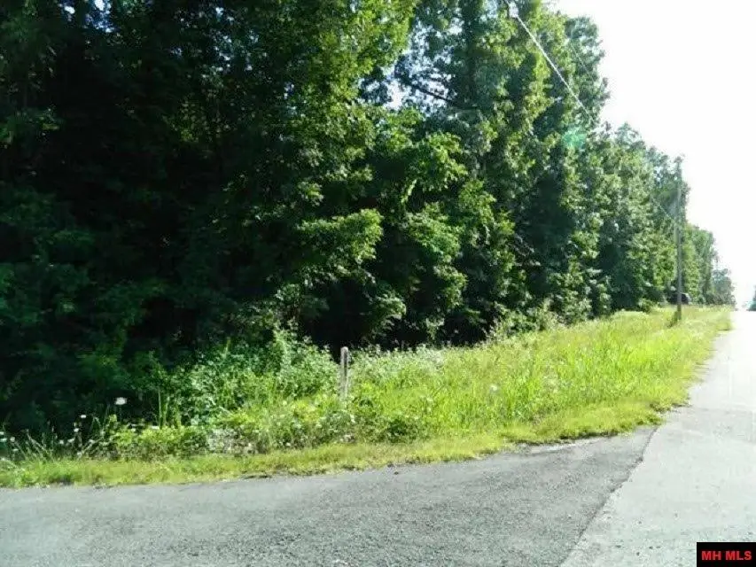 LOTS 1-4 WALNUT AVENUE, Bull Shoals, AR 72619 - #3