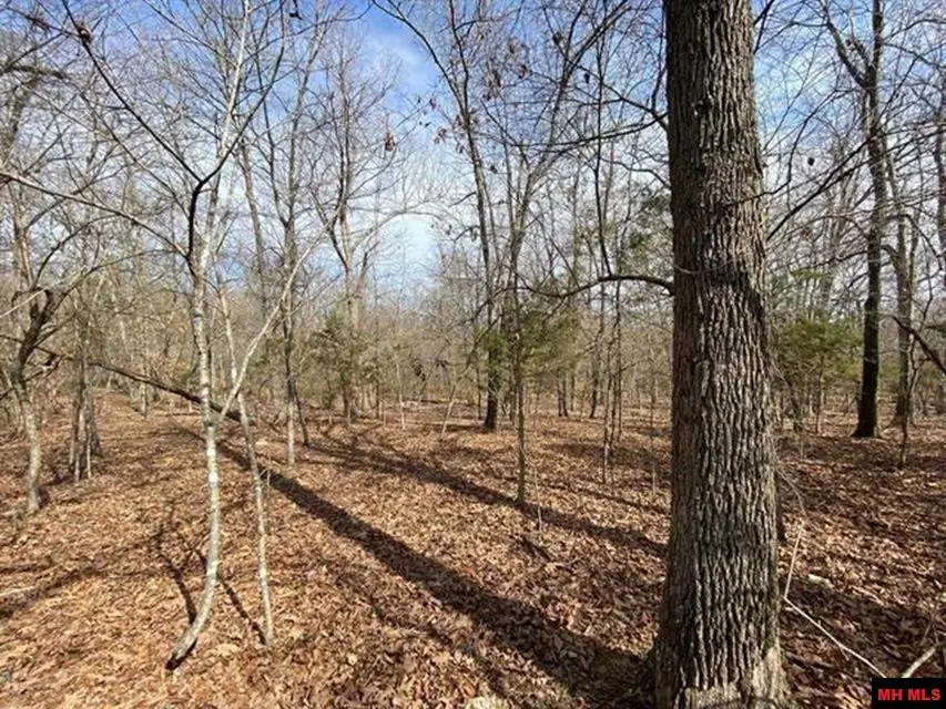 Lot 4 LAKEPOINTE DRIVE, Clarkridge, AR 72623 - #1
