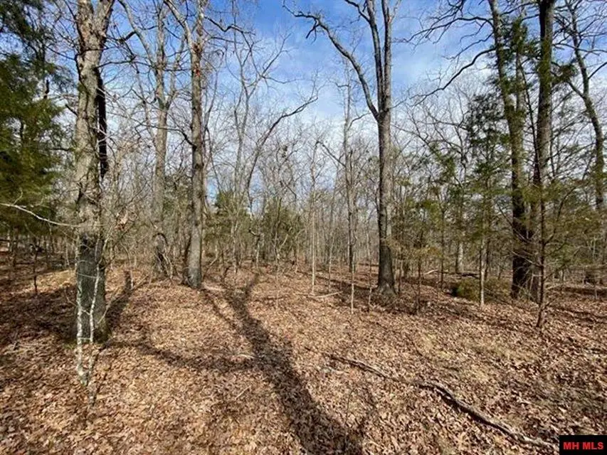 Lot 4 LAKEPOINTE DRIVE, Clarkridge, AR 72623 - #3