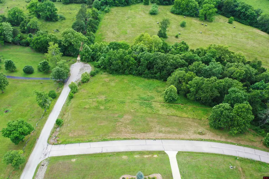 000 SILVERTHORNE CIRCLE, Mountain Home, AR 72653 - #3