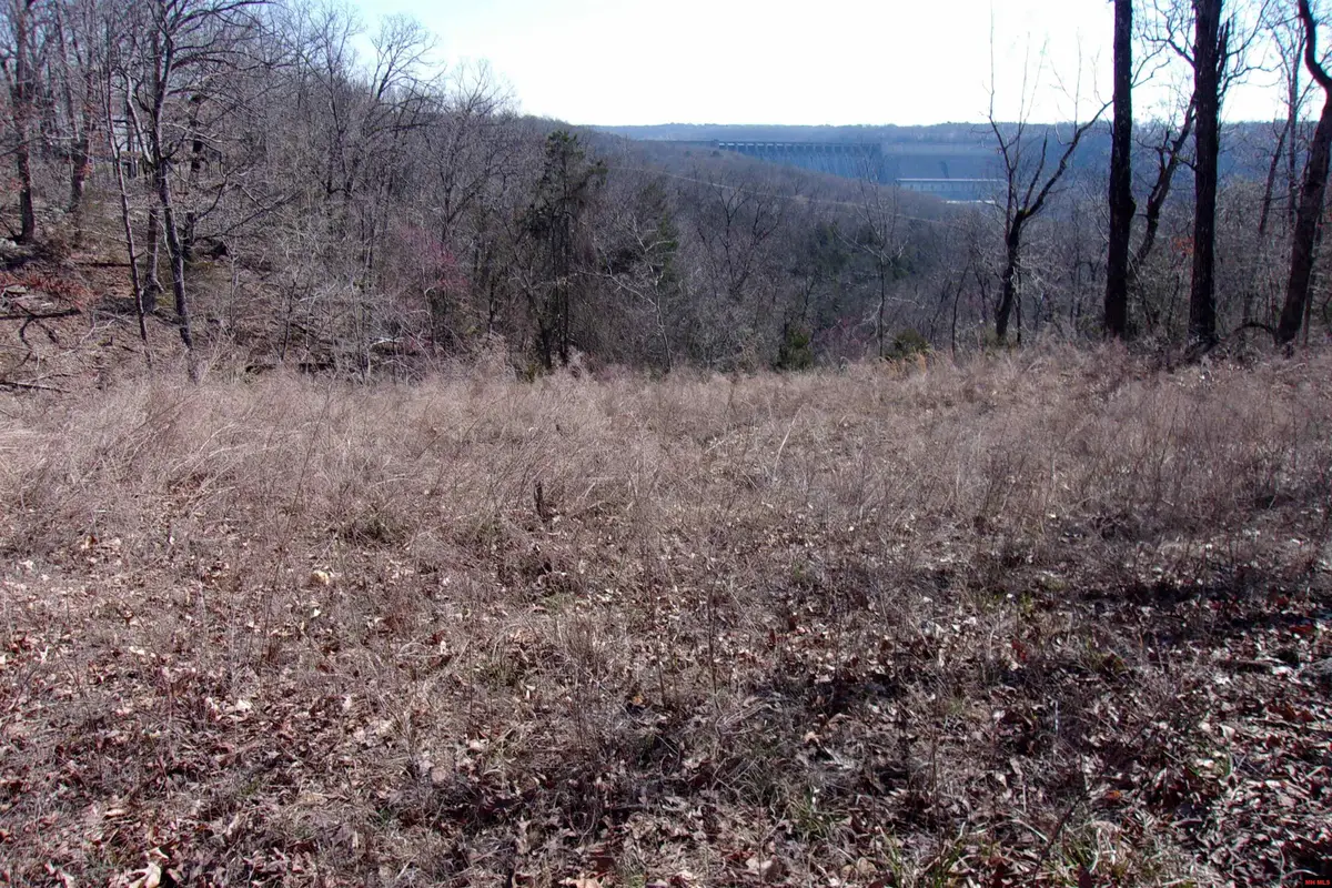 760-22311-000 COUNTRY CLUB DRIVE, Bull Shoals, AR 72619 - #1