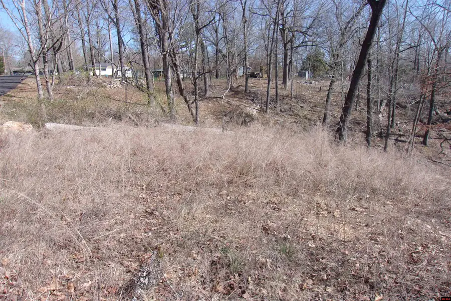 760-22311-000 COUNTRY CLUB DRIVE, Bull Shoals, AR 72619 - #2