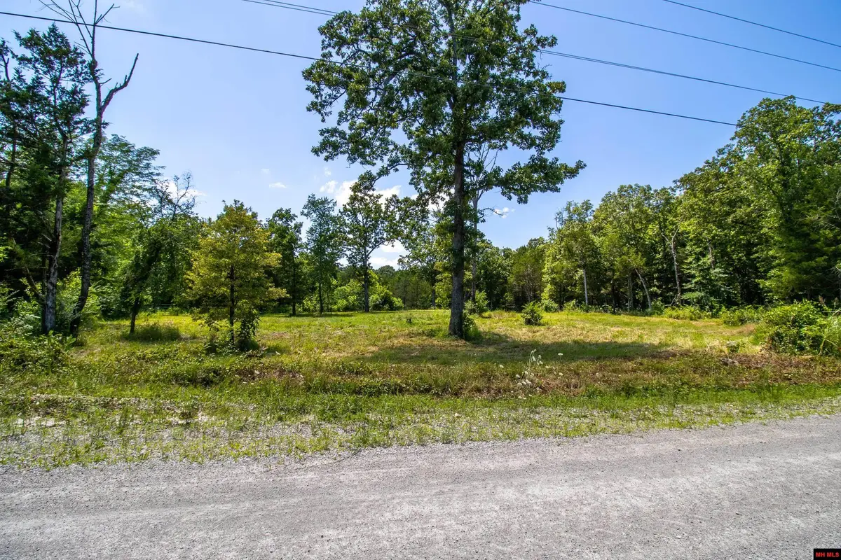 3234 CR 11, Whiteville, AR 72653 - #1