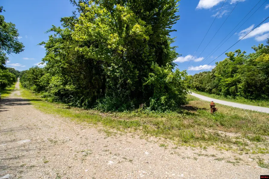 3234 CR 11, Whiteville, AR 72653 - #3