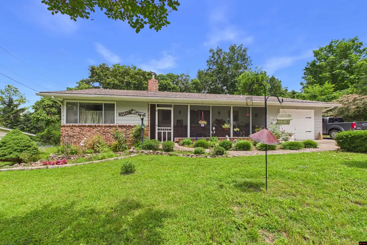 313 BAY RIDGE ROAD, Lakeview, AR 72642 - #1