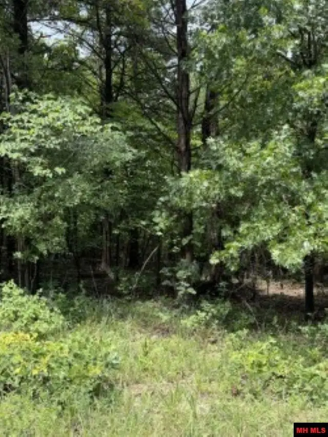 Lot 61 HEBRIDES AVENUE, Briarcliff, AR 72653 - #1