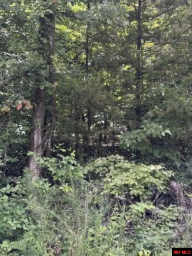 Lot 61 HEBRIDES AVENUE, Briarcliff, AR 72653 - #2