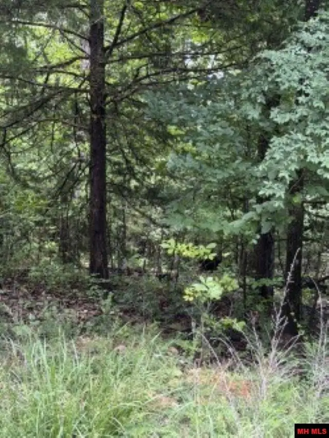 Lot 61 HEBRIDES AVENUE, Briarcliff, AR 72653 - #3