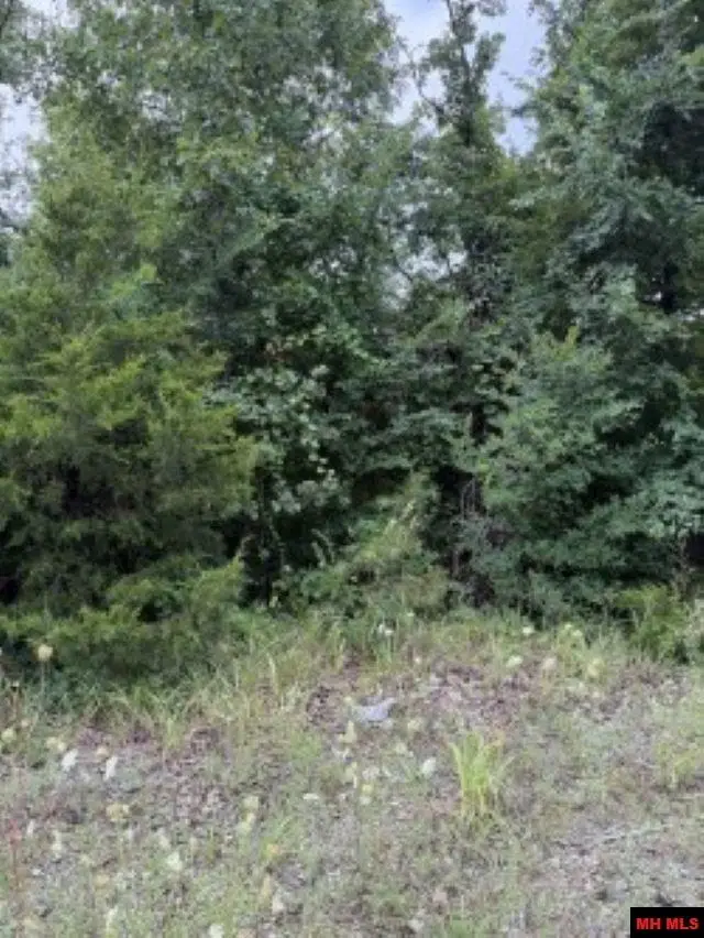 Lot 7 CR 868, Henderson, AR 72544 - #1