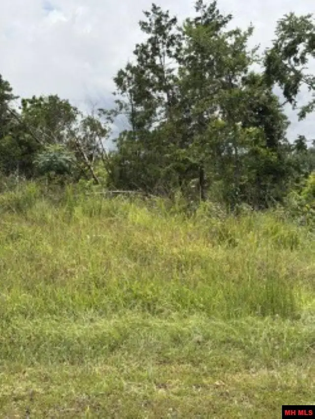 Lot 23 CR 868, Henderson, AR 72544 - #1