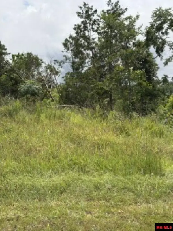 Lot 23 CR 868, Henderson, AR 72544