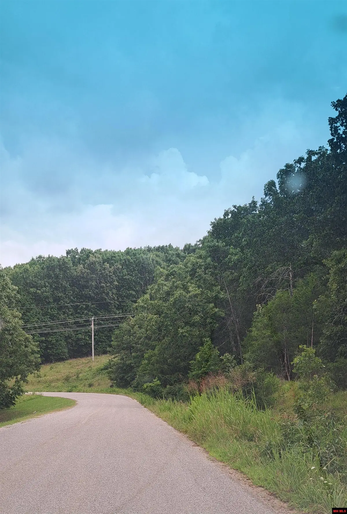 Lot 4 BASSWOOD DRIVE, Mountain Home, AR 72653 - #1