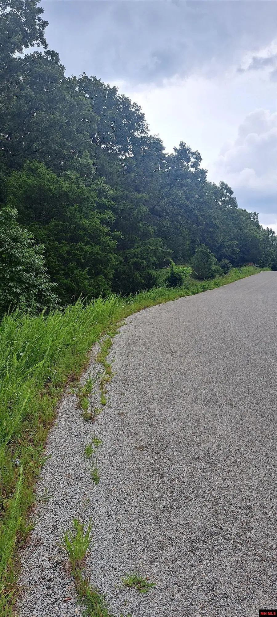 Lot 4 BASSWOOD DRIVE, Mountain Home, AR 72653 - #3