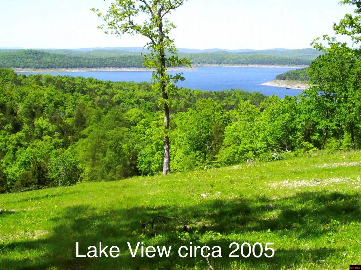 Lots 32H & 34 J AIR PARK DRIVE, Yellville, AR 72687 - #1