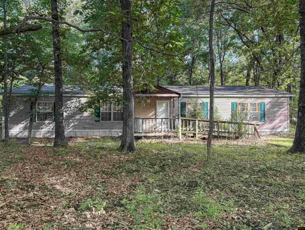 265 WILLINGHAM ROAD, Lakeview, AR 72642