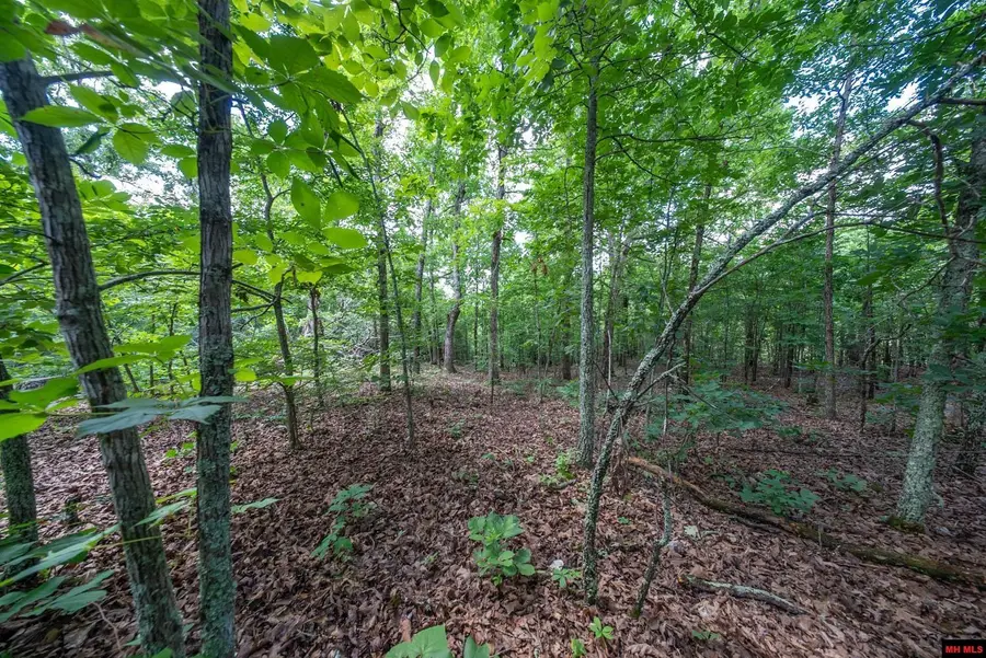 52022731000 RIDGEHAVEN, Mammoth Spring, AR 72554 - #3