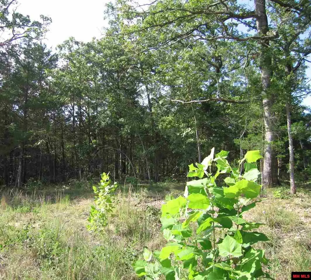 Lot 15 SARGENT PEPPER DRIVE, Flippin, AR 72634 - #1