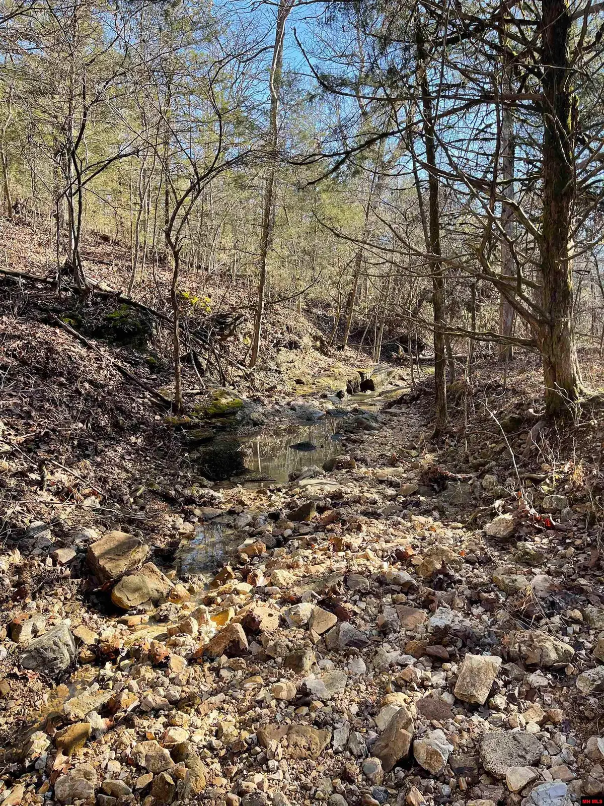 170614000000008 HWY 160, Gainesville, MO 65655 - #1