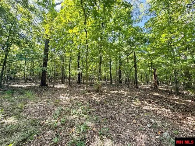 40 ac CR 625, Mountain Home, AR 72653 - #1