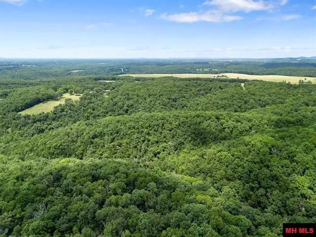 40 ac CR 625, Mountain Home, AR 72653 - #3