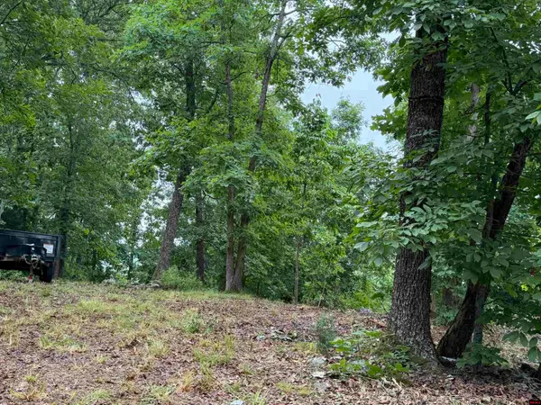 OFF OF MORGAN CAVE ROAD, Harrison, AR 72601