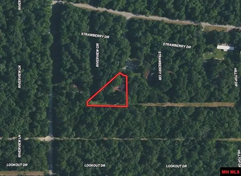 1607 RIVERVIEW CIRCLE, Horseshoe Bend, AR 72512 - #2