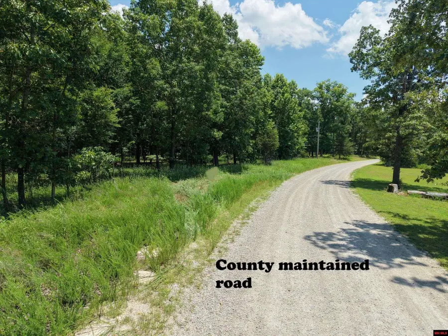 Off LAKE POINT BLUFF, Clarkridge, AR 72623 - #2