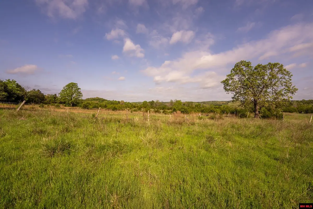 Tract 2 LITTLE WOODS ROAD, Elizabeth, AR 72531 - #1