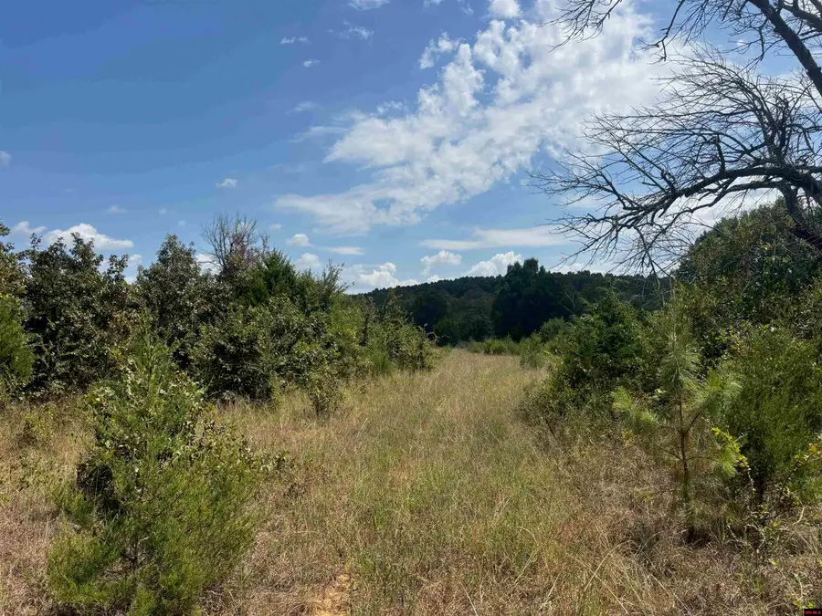 Tract 2 LITTLE WOODS ROAD, Elizabeth, AR 72531 - #3