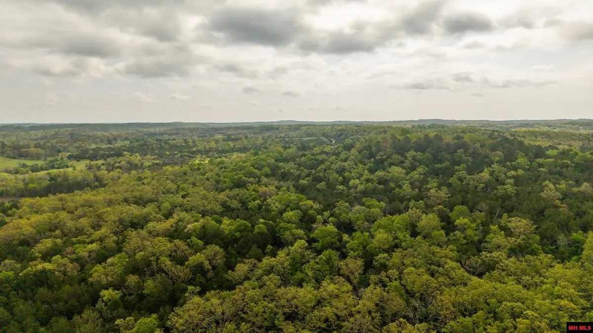 Tract 3 LITTLE WOODS ROAD, Elizabeth, AR 72531 - #1